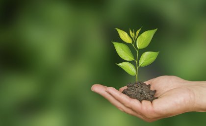 More than 5000 trees will be planted at UQ St Lucia.